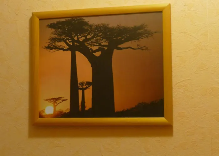 Waldblick Ha05 * Sögel